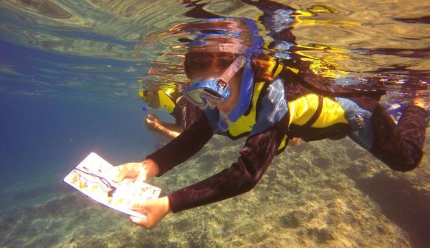 Snorkel en familia con AliSub